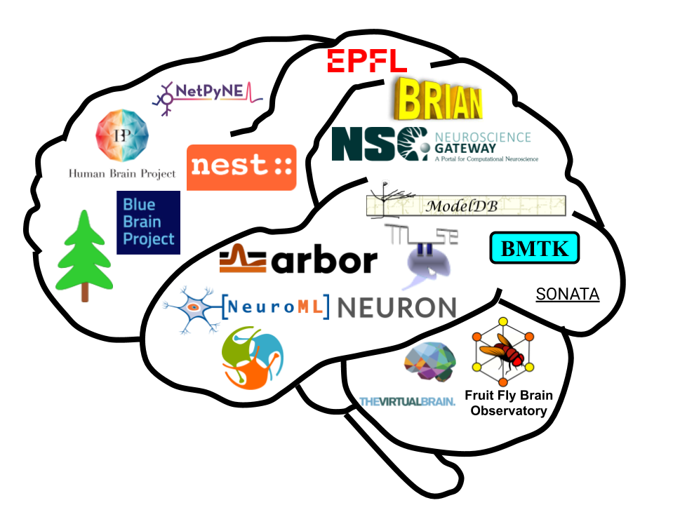 Brain Simulation Section The Computational Neuroscience *2020